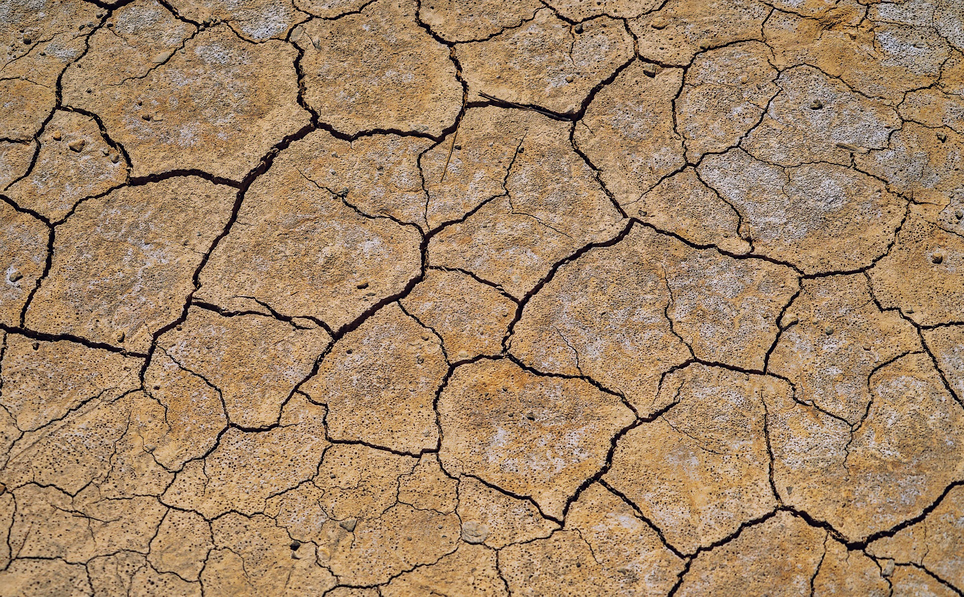 Water Scarce Countries: Present and Future