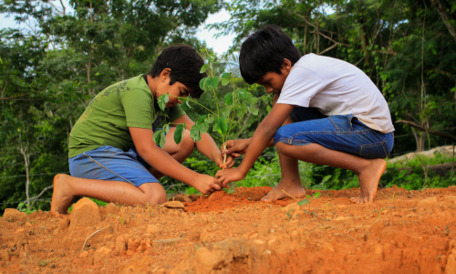External: Toward a sustainable, inclusive, growing future: The role of business